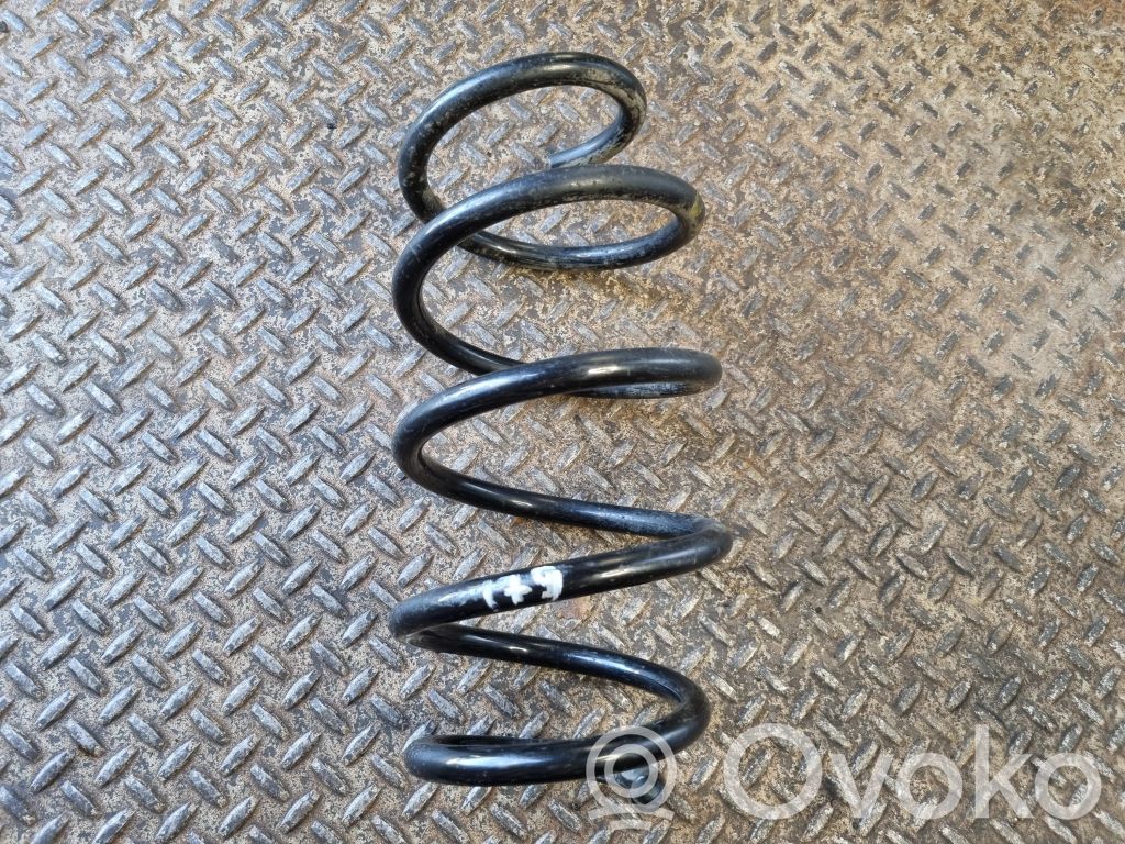 Front coil spring