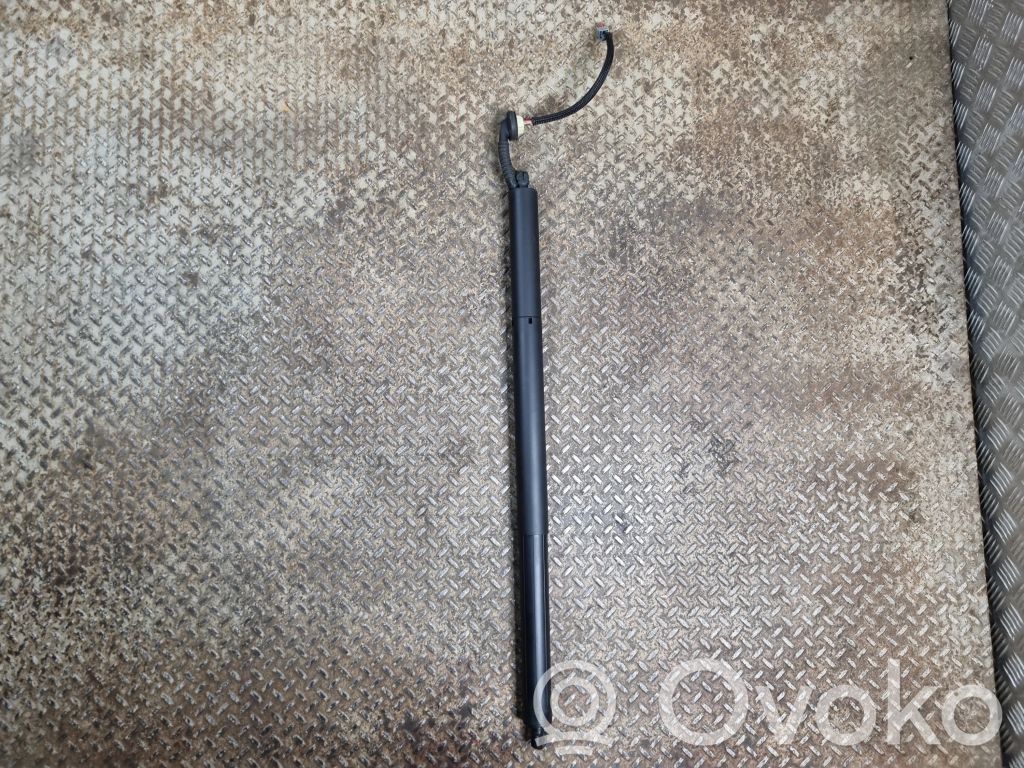 Chrysler Pacifica Tailgate/trunk strut/damper 