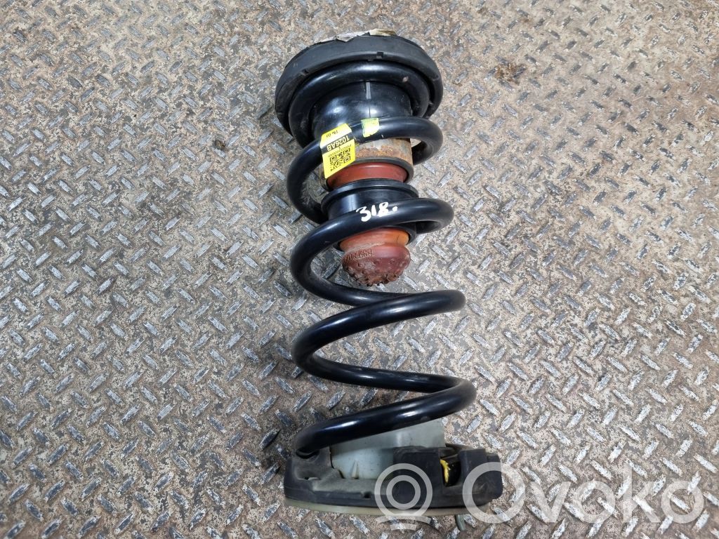 Chrysler Pacifica Rear coil spring 