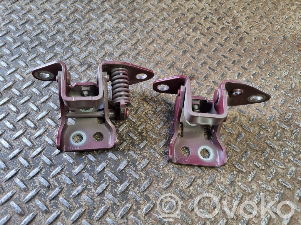 Front door hinges set   107AF,643AC