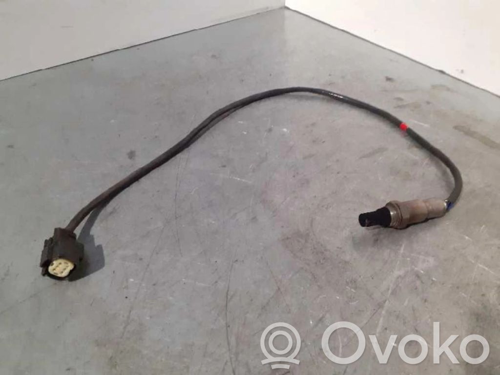 Sonde lambda   F1F19Y480DA