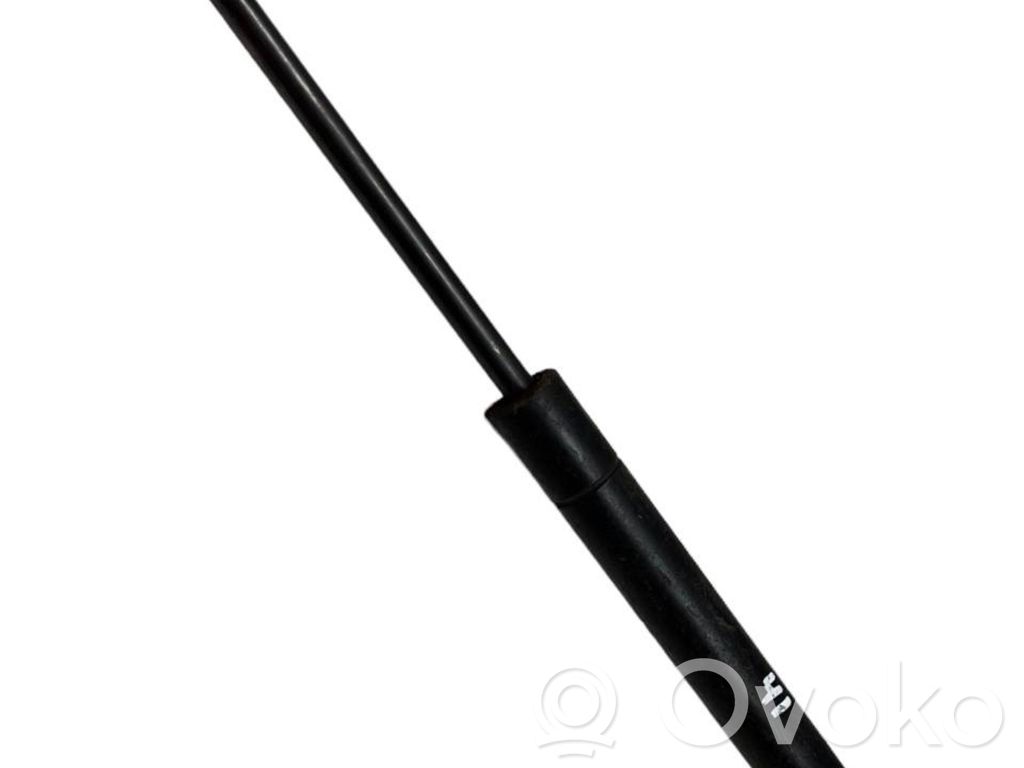 BMW 3 E46 Front bonnet/hood damper/strut 