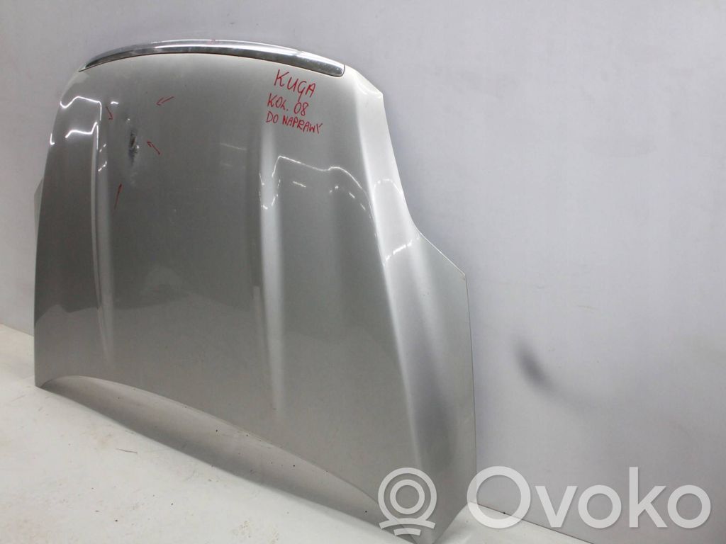 Motorhaube