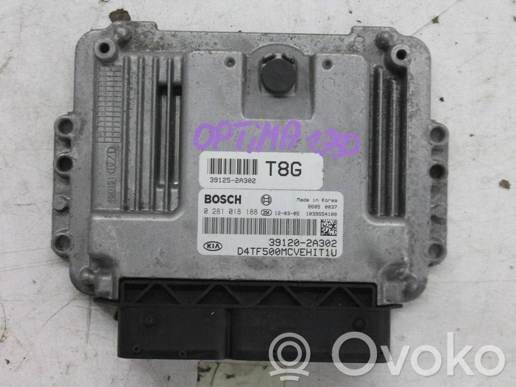 Unidad de control/módulo del motor   391252A302,391202A302,0281018188
