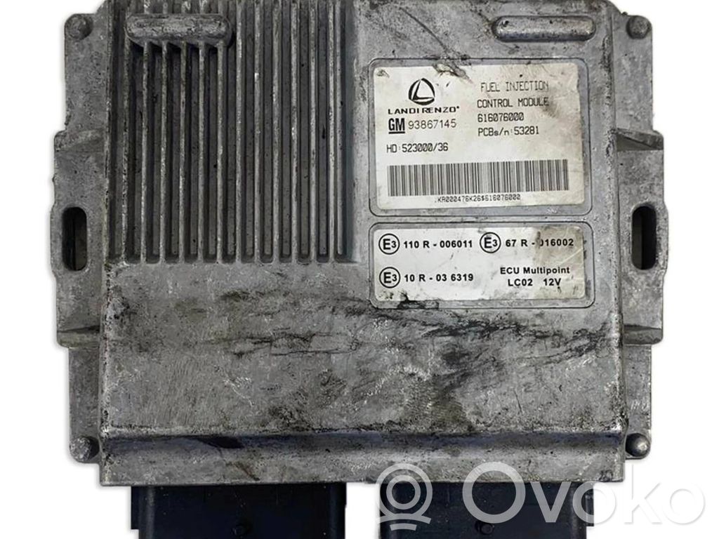 Engine control unit/module ECU   666076000,93867145,110R006011