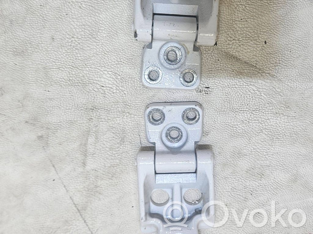 Volkswagen Crafter Tailgate/trunk/boot hinge 