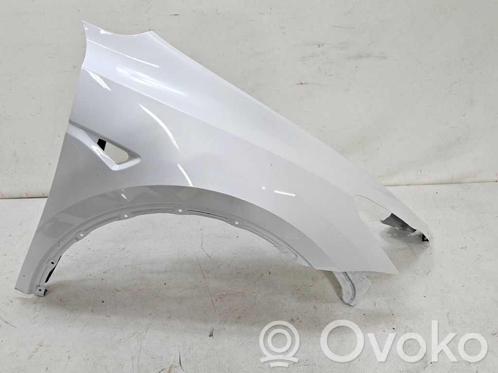 Tesla Model Y Fender 