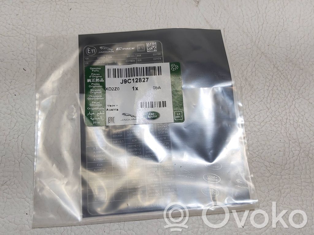 Muu korin osa   J9C12827