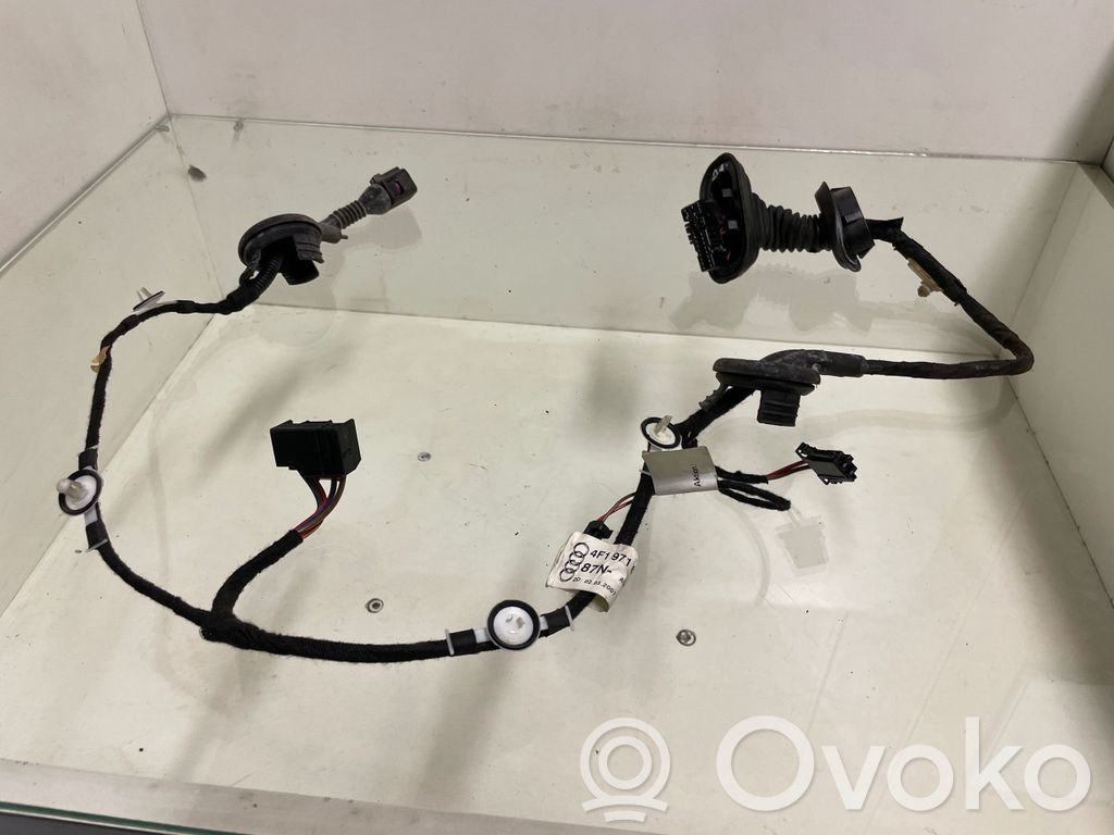 Audi A6 S6 C6 4F Wiązka przewodów drzwi tylnych 