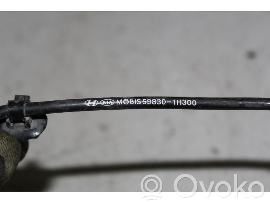 ABS Sensor   598301H300