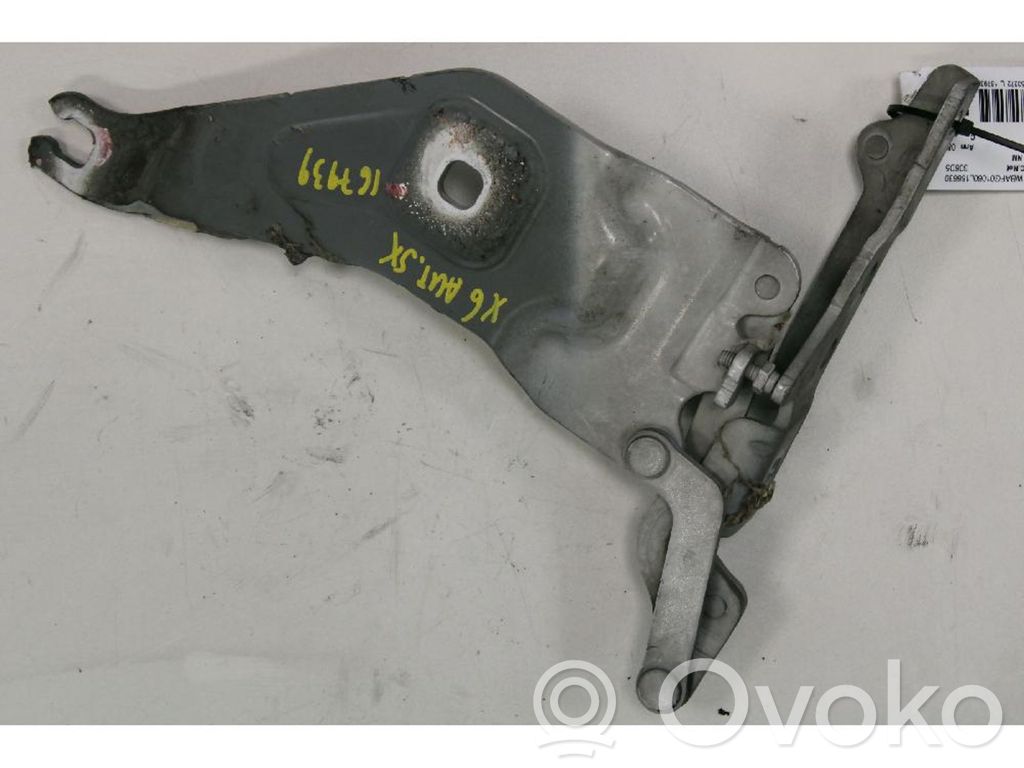 Engine bonnet/hood hinges