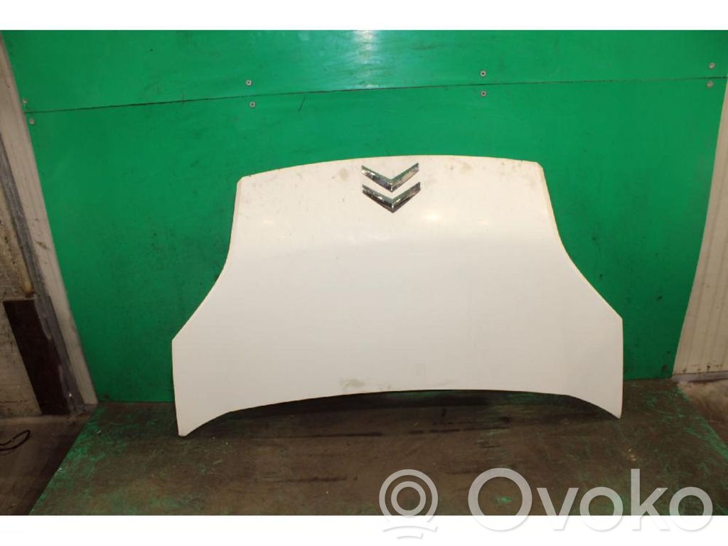 Konepelti   7901Q1