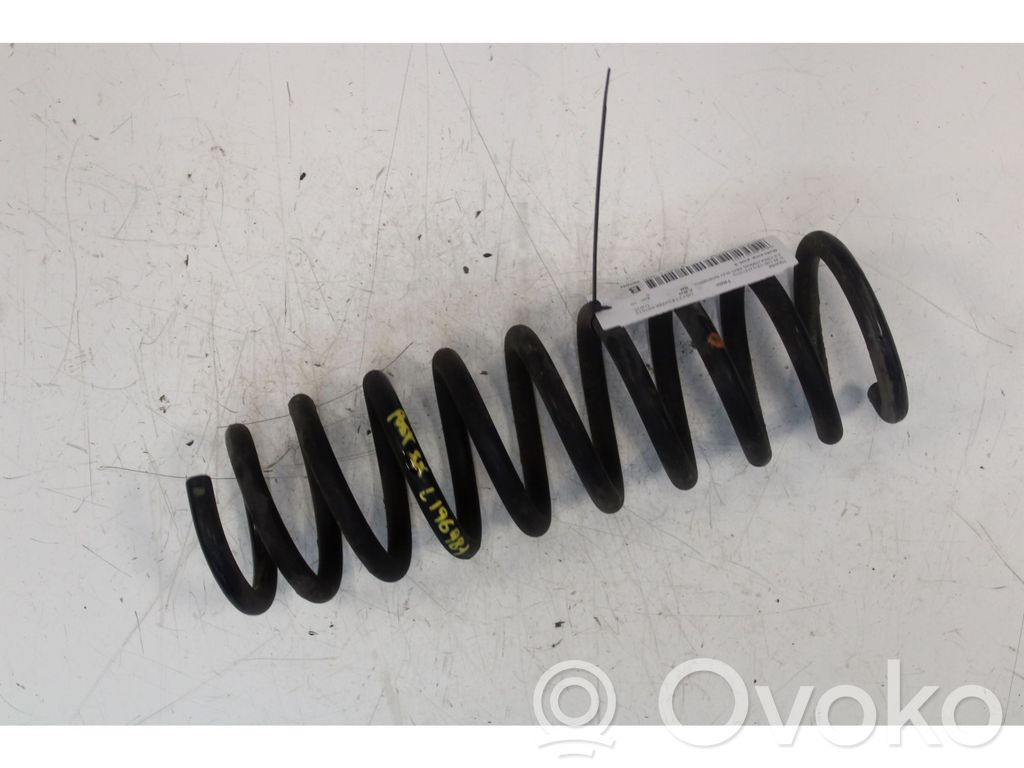 Rear coil spring
