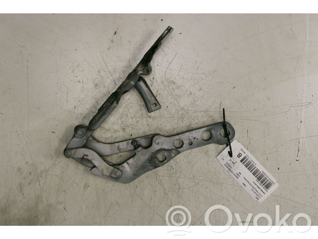 Engine bonnet/hood hinges