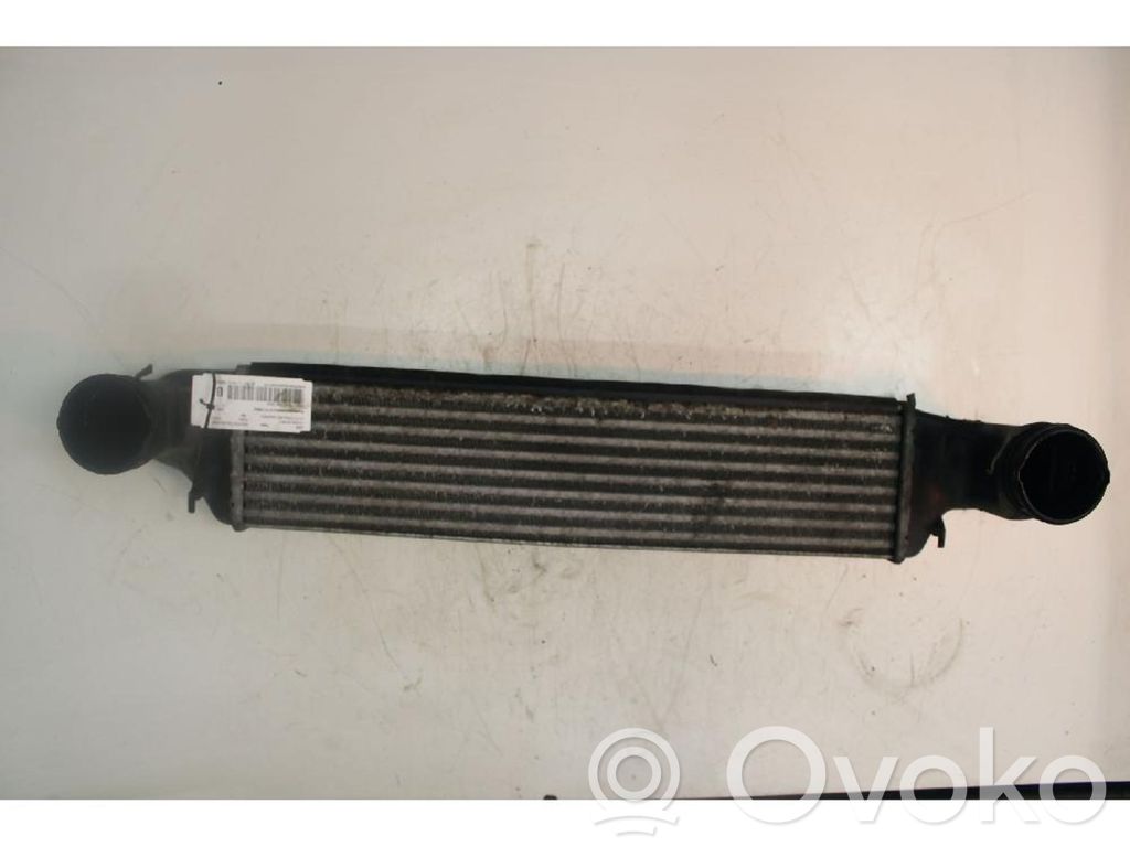 Intercooler radiator   7789793,7793370