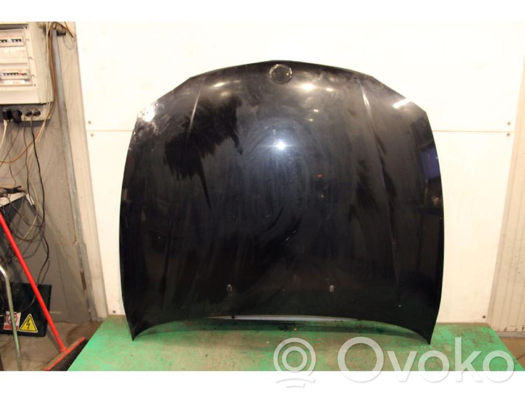 Capó/tapa del motor   41627162102