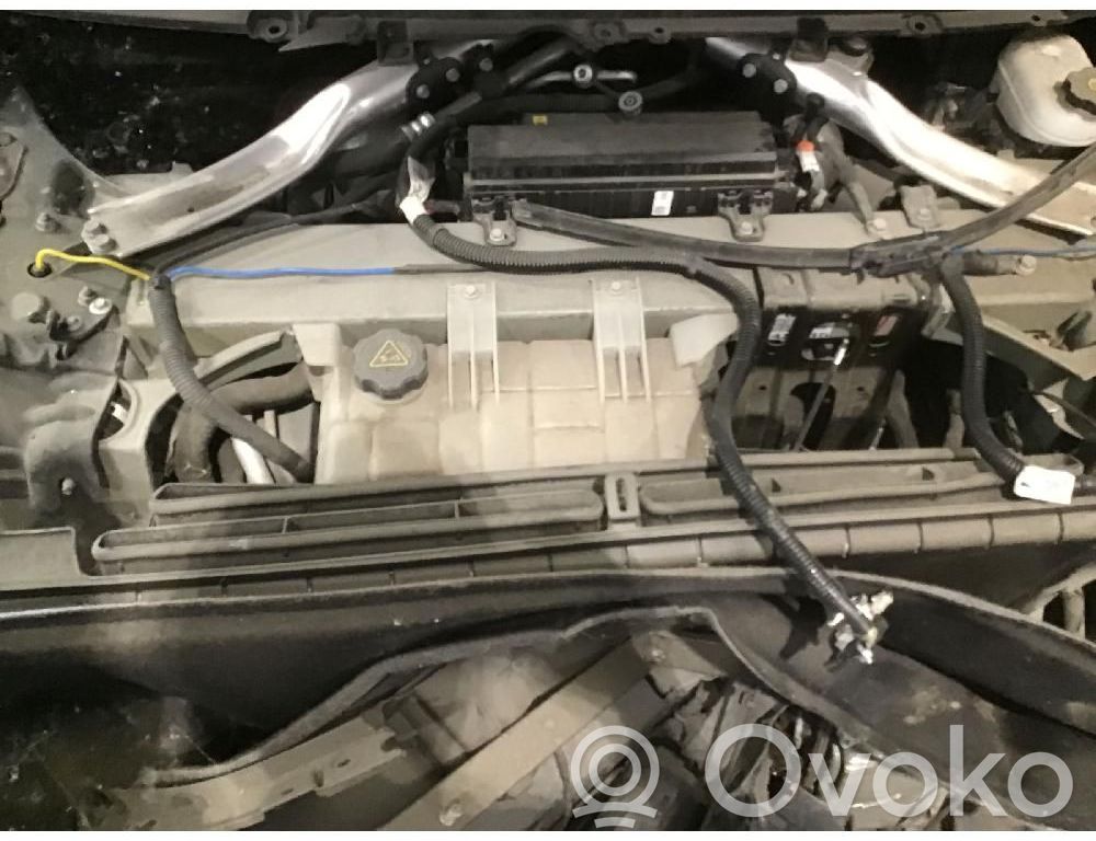 Variklis   P100D
