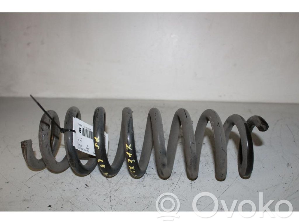 Rear coil spring