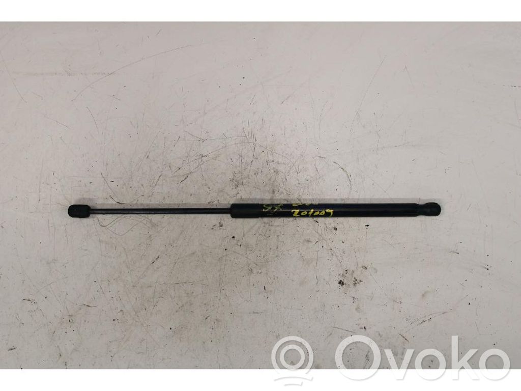 Tailgate/trunk strut/damper