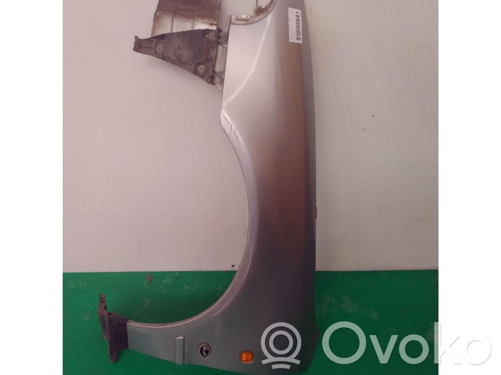 Guardabarro   8D0821105K