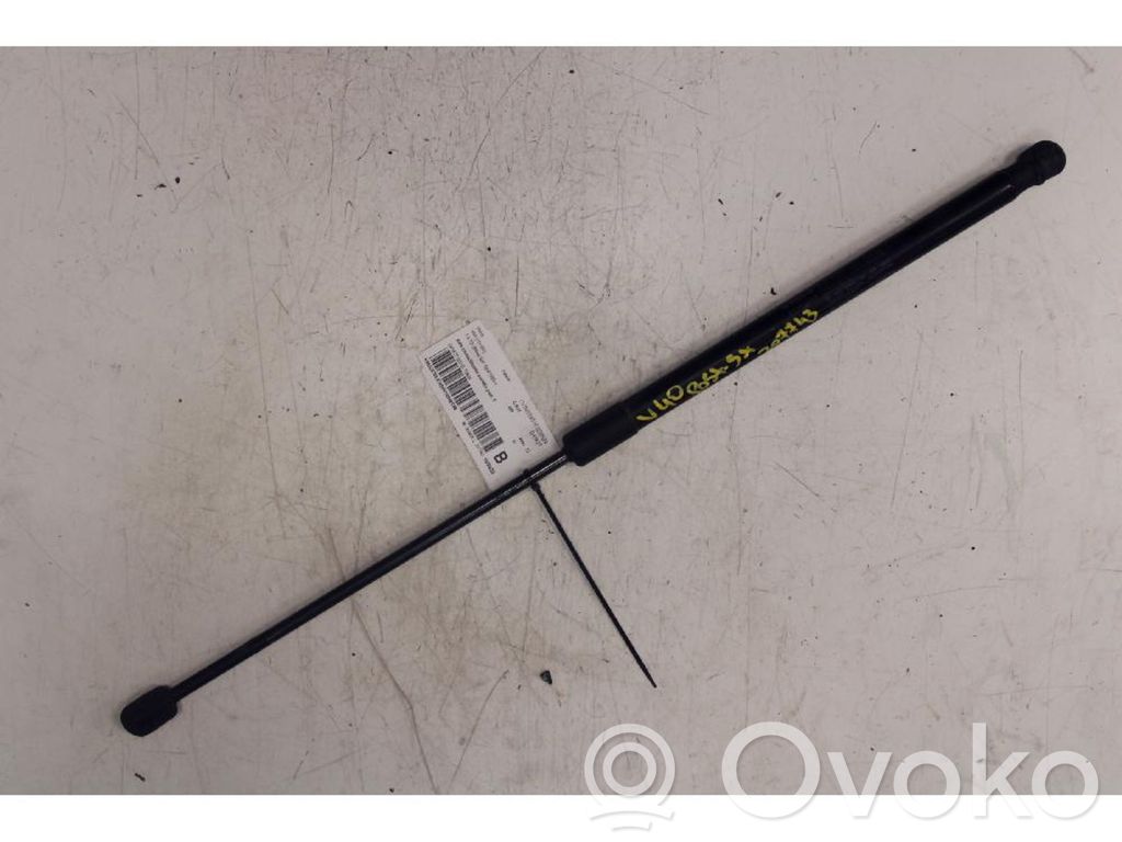 Tailgate/trunk strut/damper