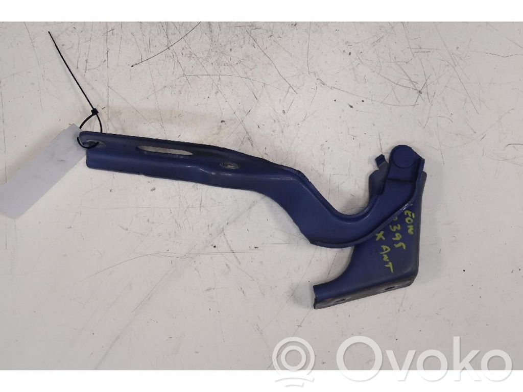 Engine bonnet/hood hinges
