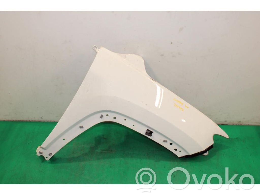 Jeep Compass Sparnas 