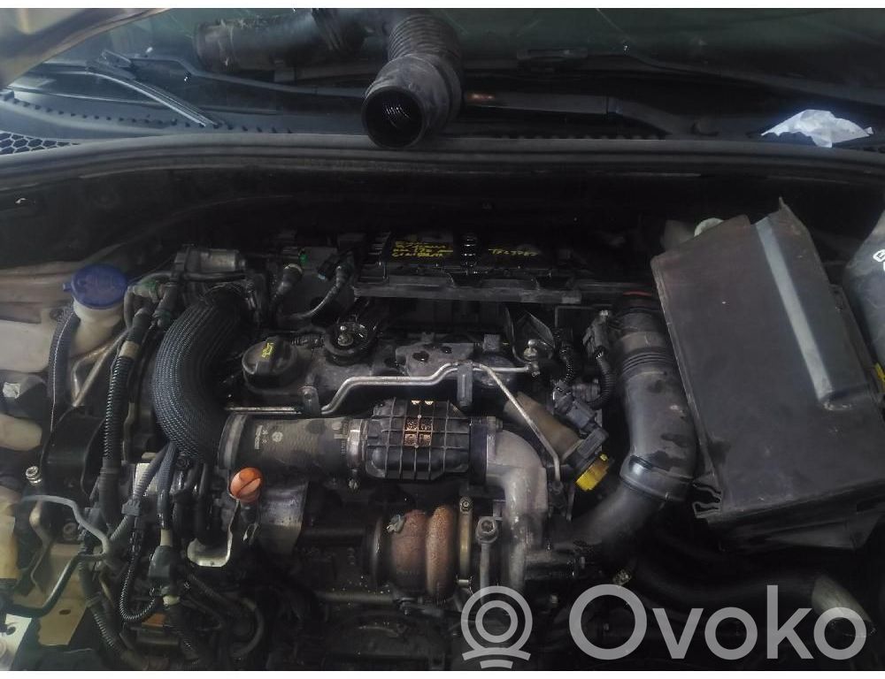 Motor   8H01