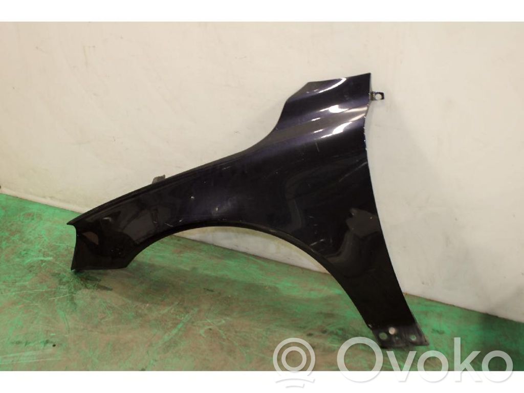 Parafango   31294000