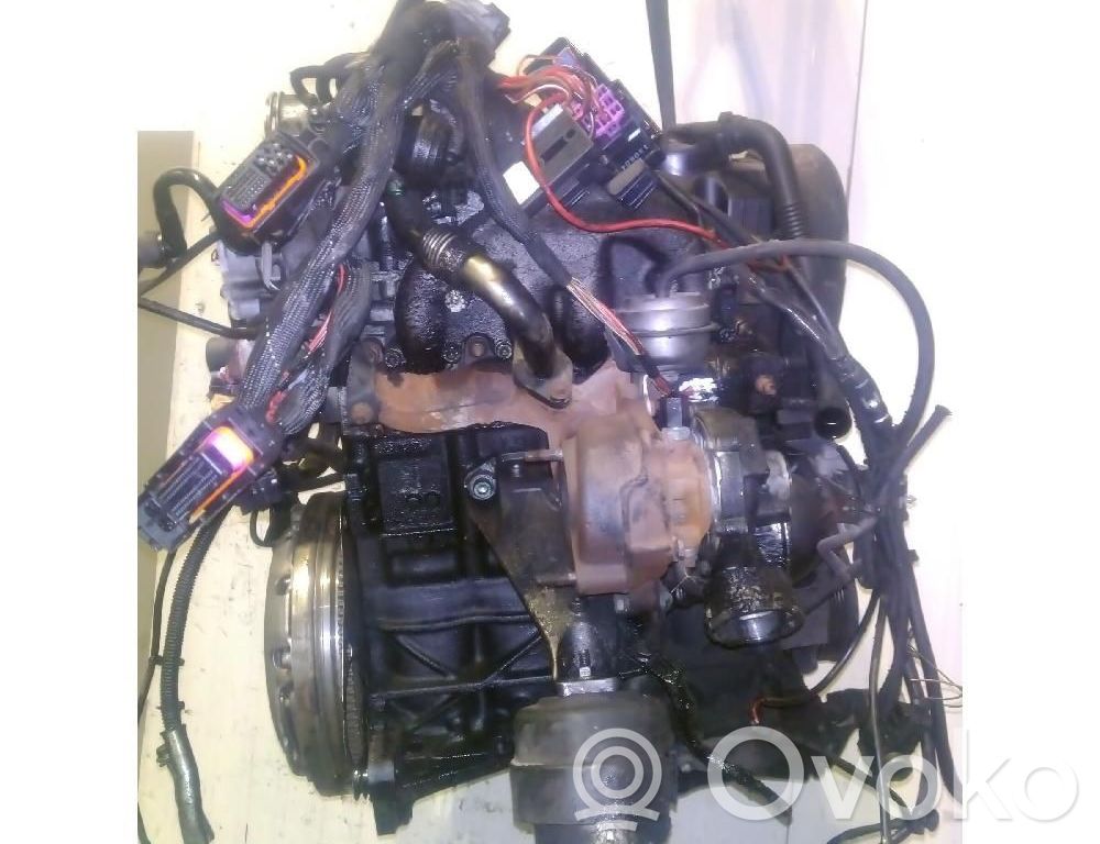 Motor   AVF