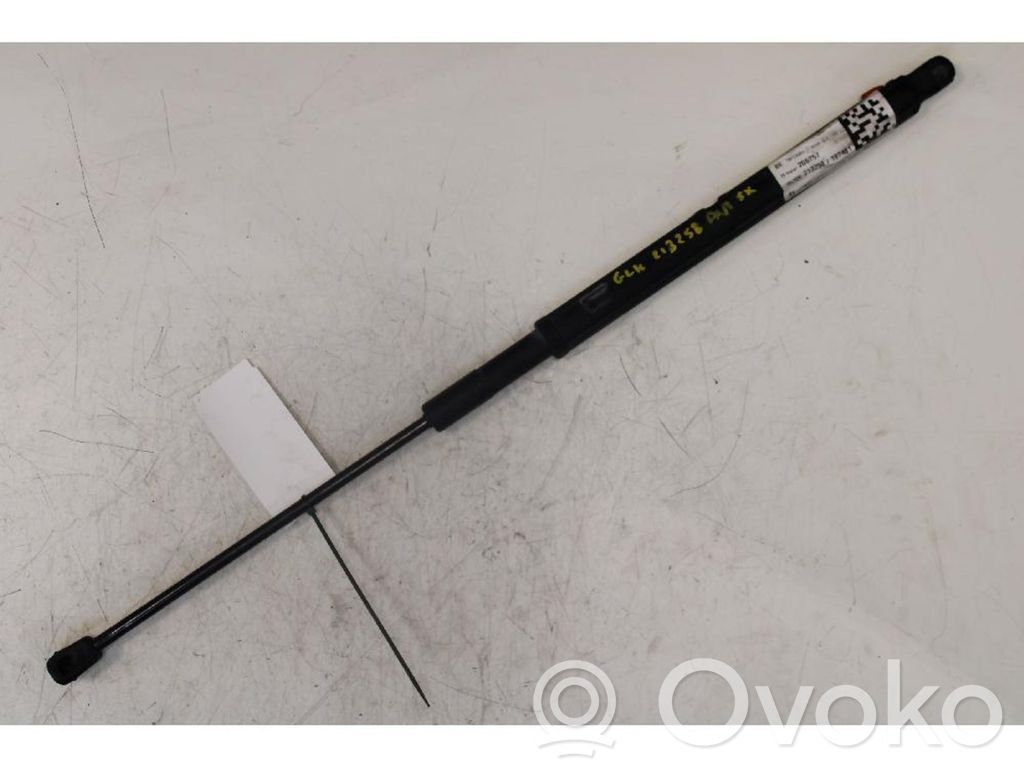 Mercedes-Benz GLK (X204) Ammortizzatore portellone anteriore/cofano