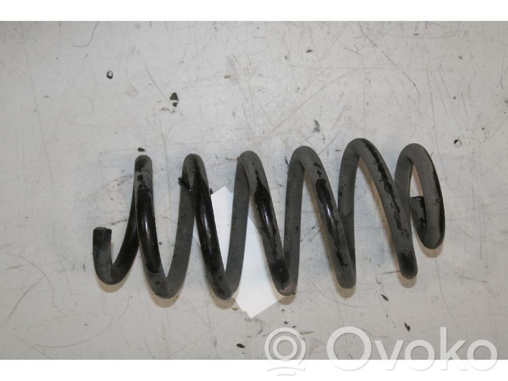 Rear coil spring
