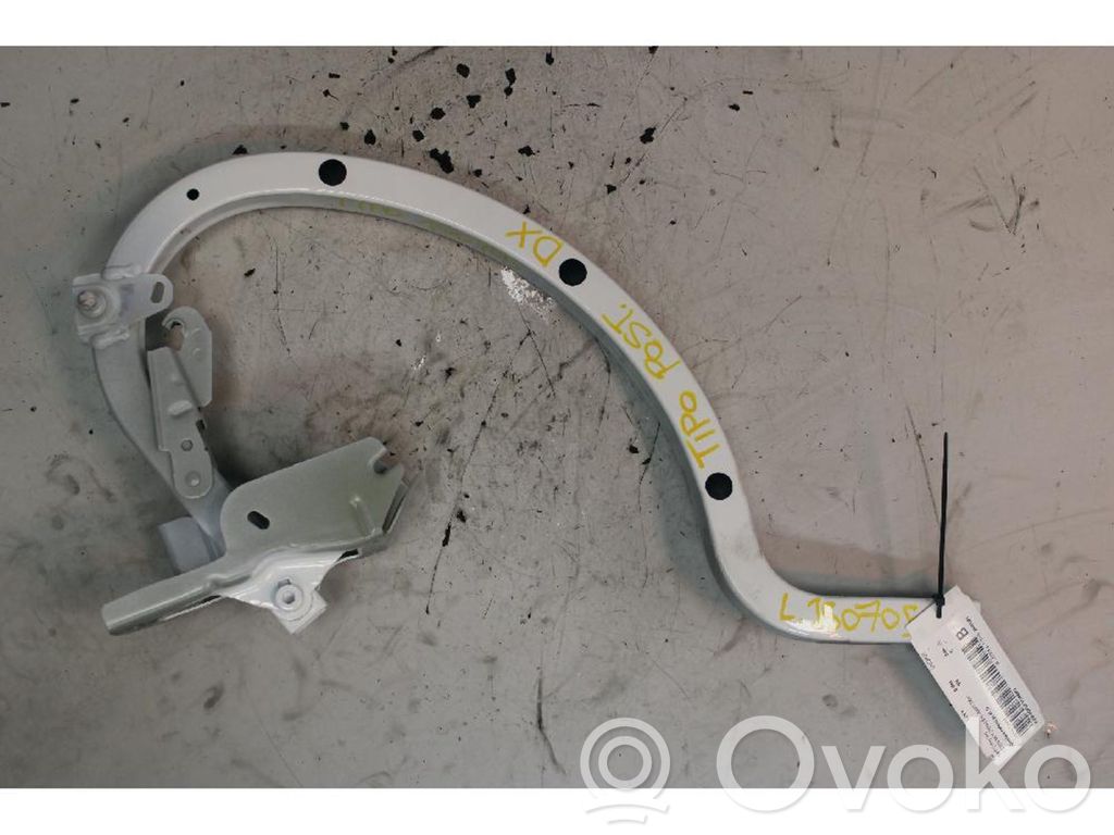 Fiat Tipo Konepellin saranat 