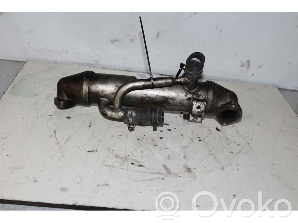 Ford Transit Răcitor supapă EGR
