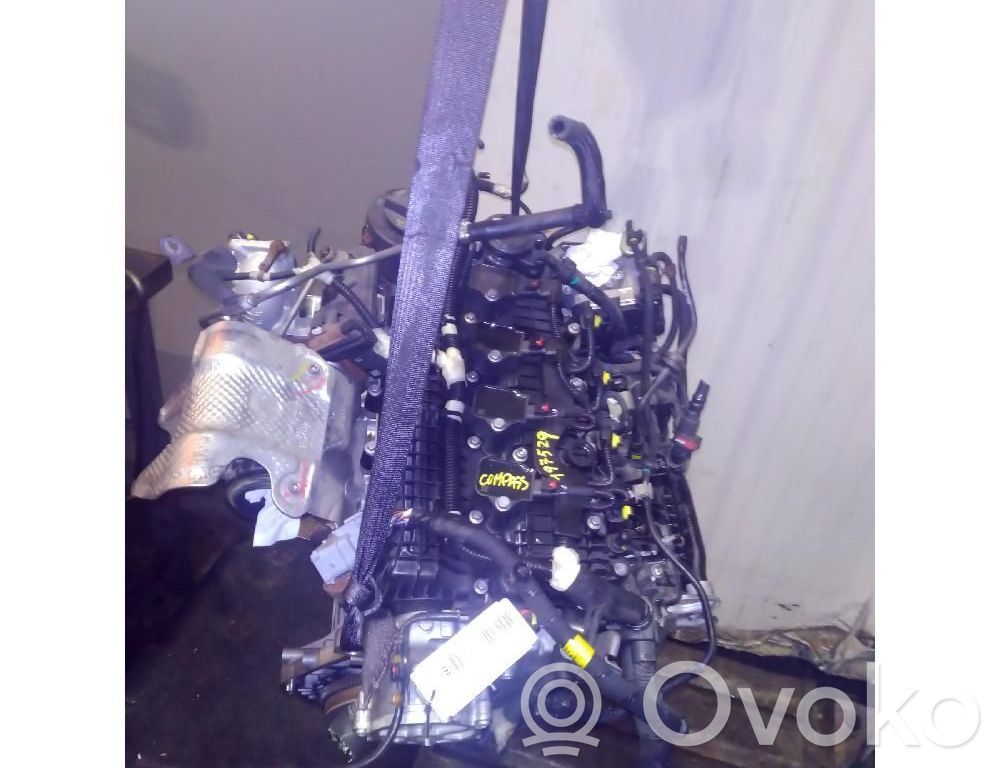 Engine   46338779
