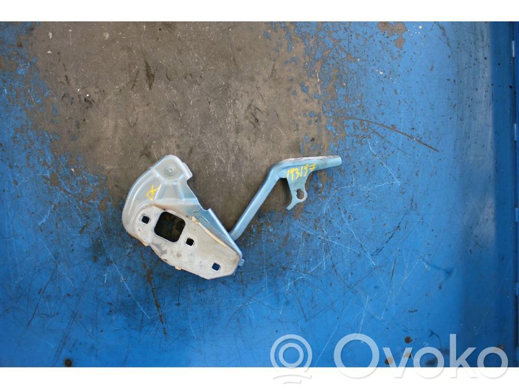 Engine bonnet/hood hinges