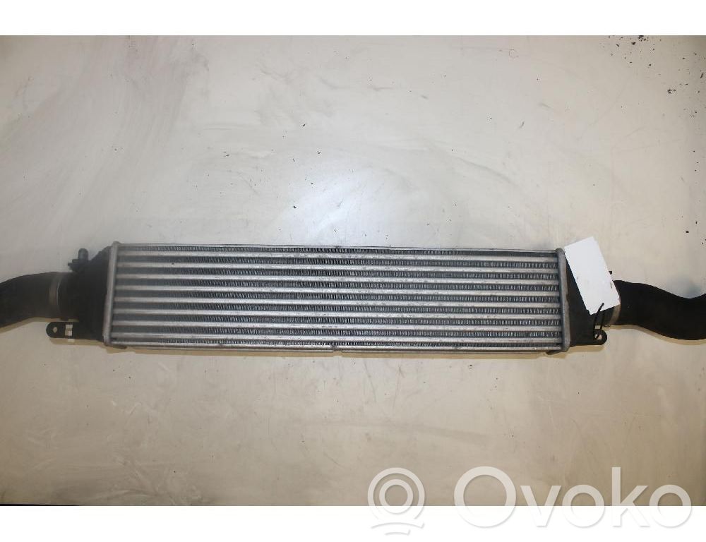 Fiat Doblo Radiador intercooler 