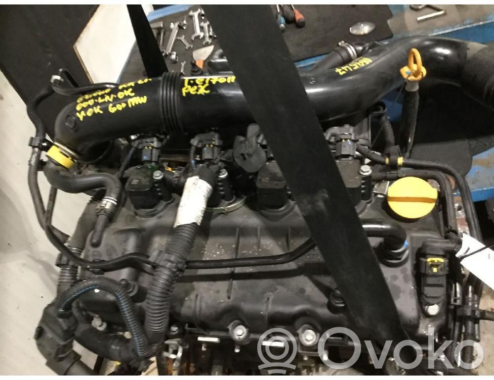 Motor   55268036