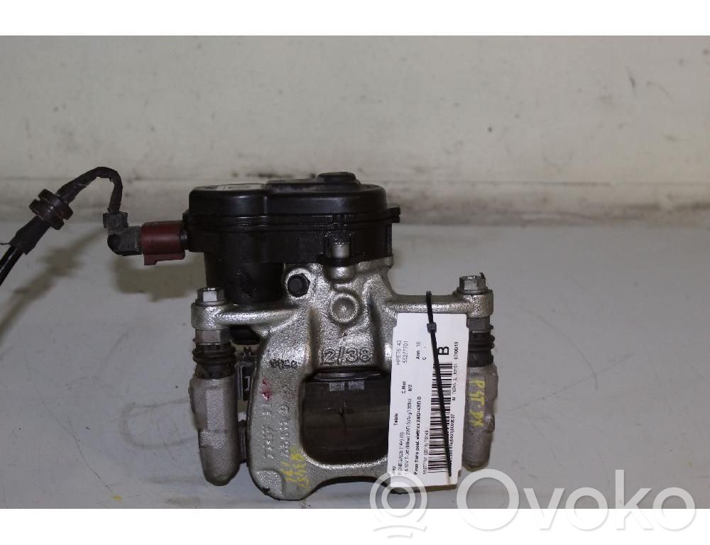 Takajarrusatula   51934286
