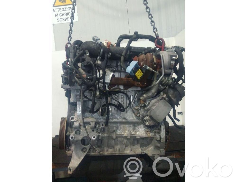 Motor   8H01