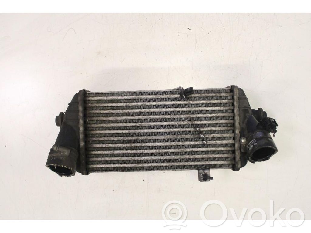 Intercooler radiator   282702A320