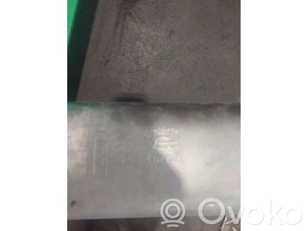 Galinė pūslė   NONRILEVABILE,FAURECIA,GROUPE,J3,PSA,PSA4356,PSA4357