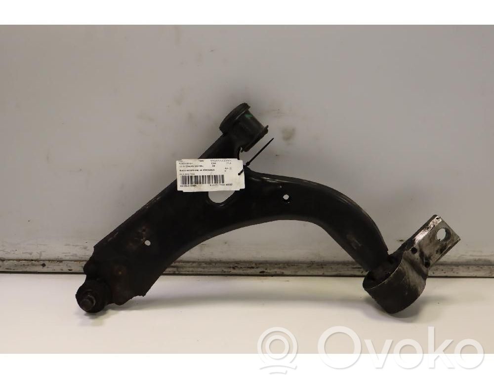 Ford Fusion Front control arm 