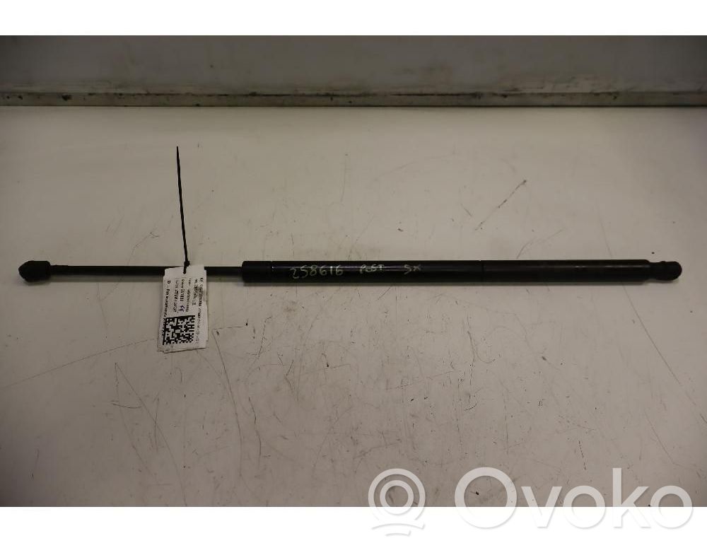 Chrysler Voyager Rear window strut damper 