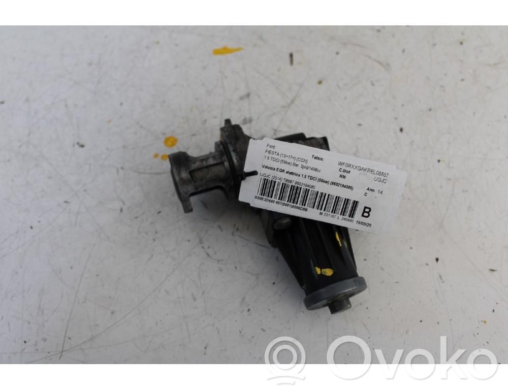 Ford Fiesta Válvula EGR 