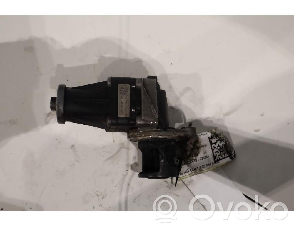 Peugeot Expert Válvula EGR 