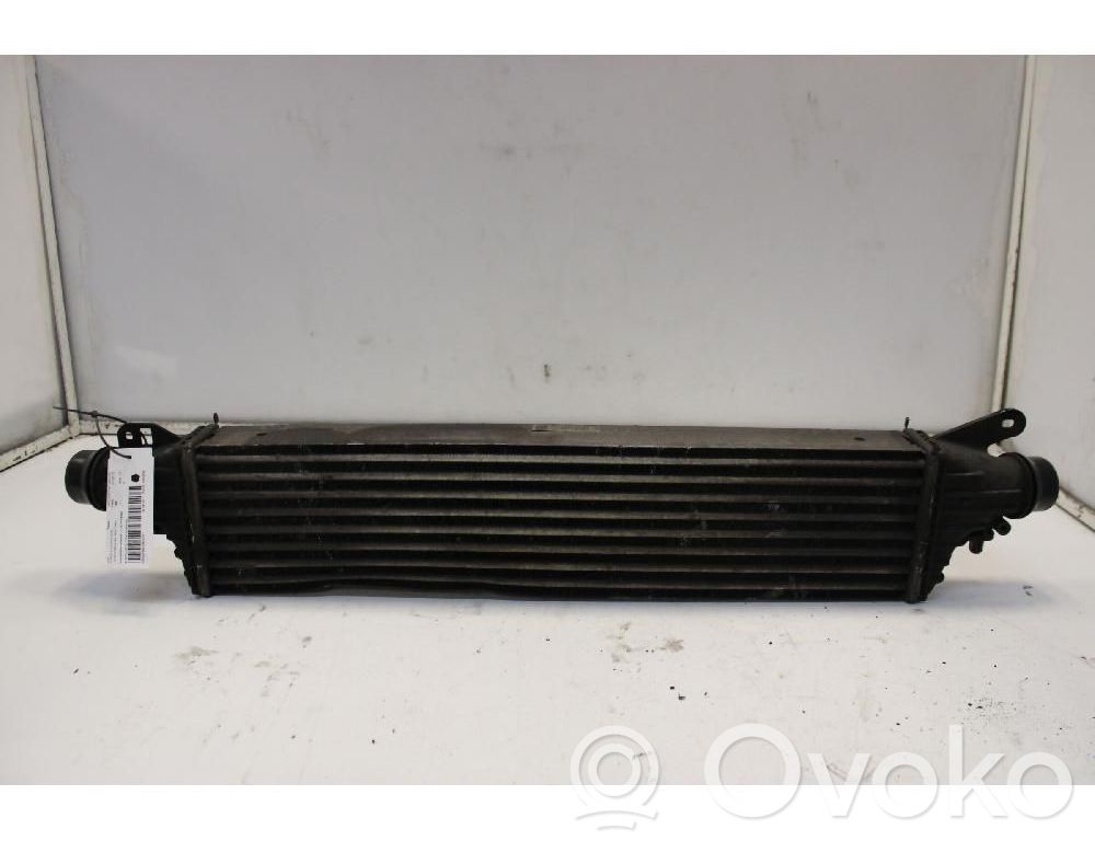 Opel Corsa E Ladeluftkühler 