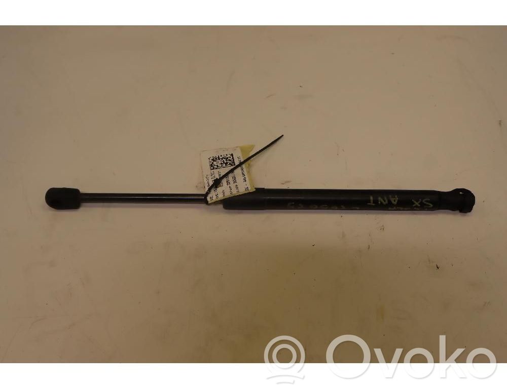 Tesla Model 3 Amortizor capotă motor 