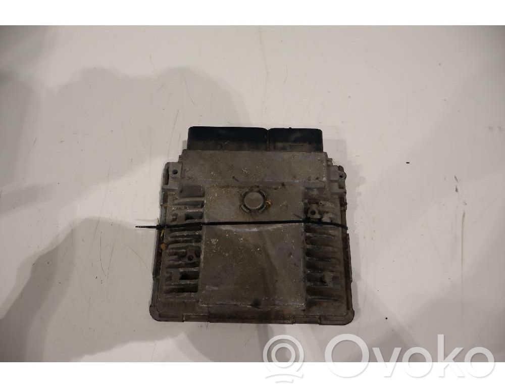 Skoda Yeti (5L) Fuel injection control unit/module 