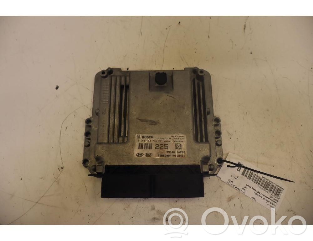 KIA Rio Fuel injection control unit/module 